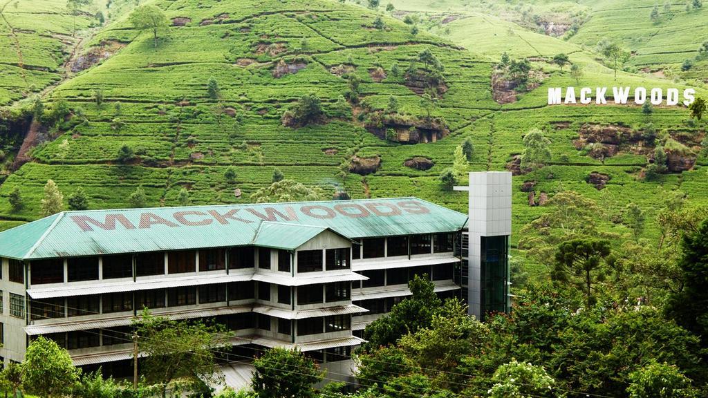 Max Mount View Nuwara Eliya Exterior photo